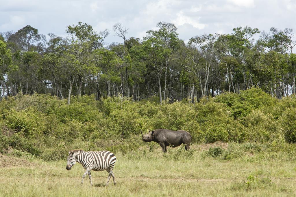 Mara Engai Lodge Lolgorien エクステリア 写真
