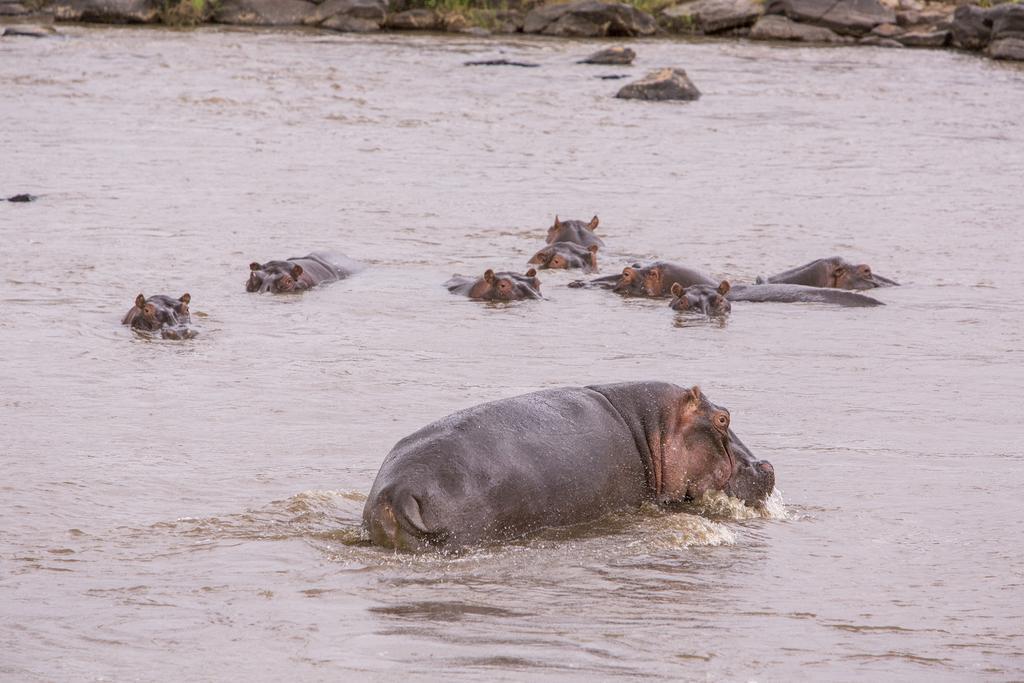 Mara Engai Lodge Lolgorien エクステリア 写真