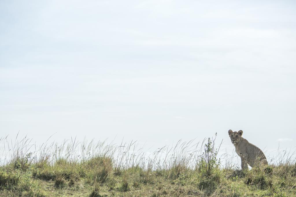 Mara Engai Lodge Lolgorien エクステリア 写真