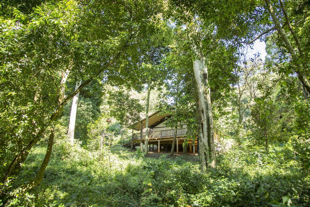Mara Engai Lodge Lolgorien エクステリア 写真
